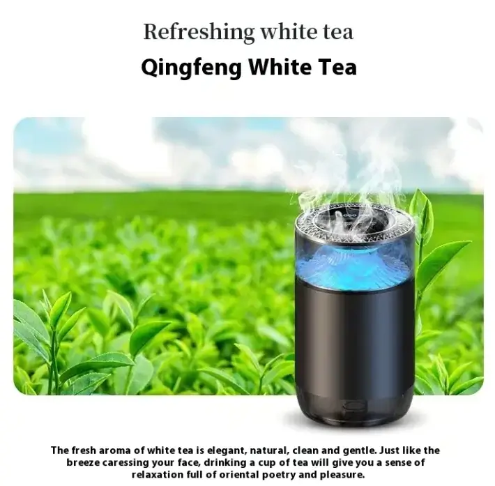 Car Aromatherapy Sprayer - Image 11