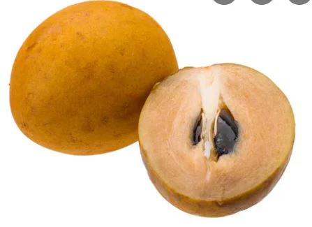 Chikoo Fruit