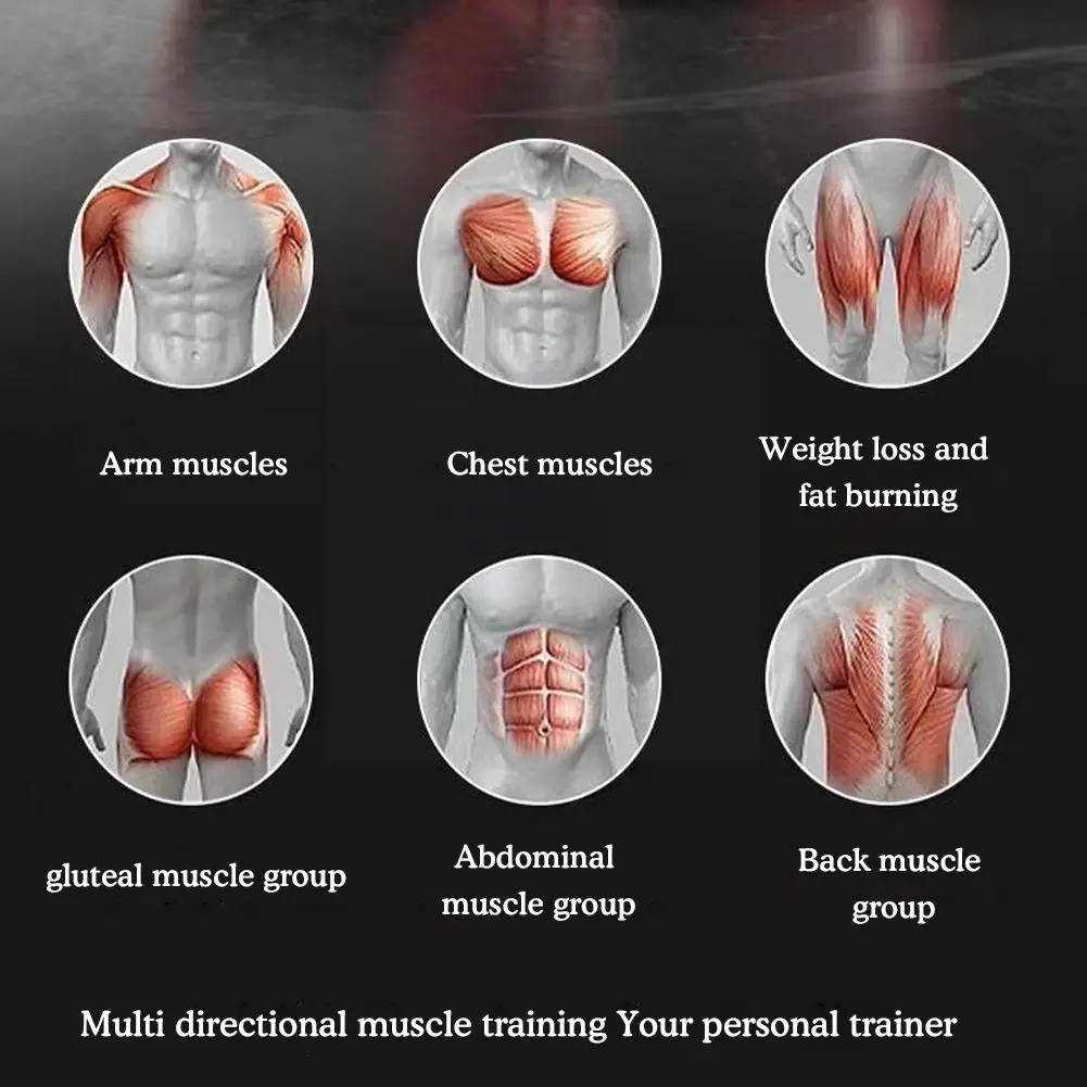 Dual Wheel ABS Roller for Core Training - Image 4