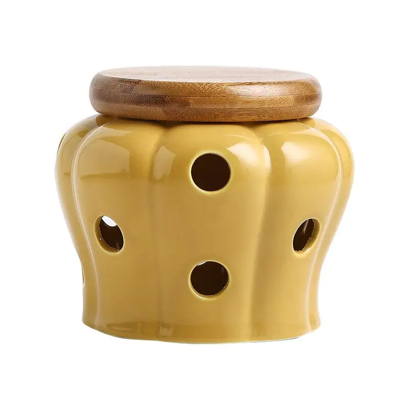 Elegant Porcelain Garlic Keeper - Image 10