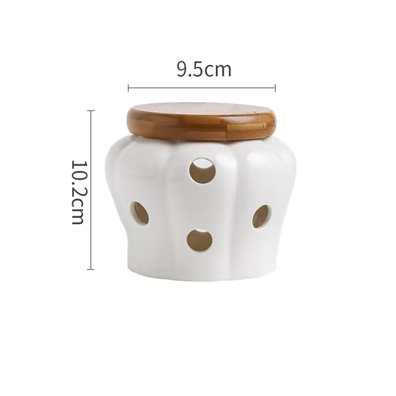 Elegant Porcelain Garlic Keeper - Image 11