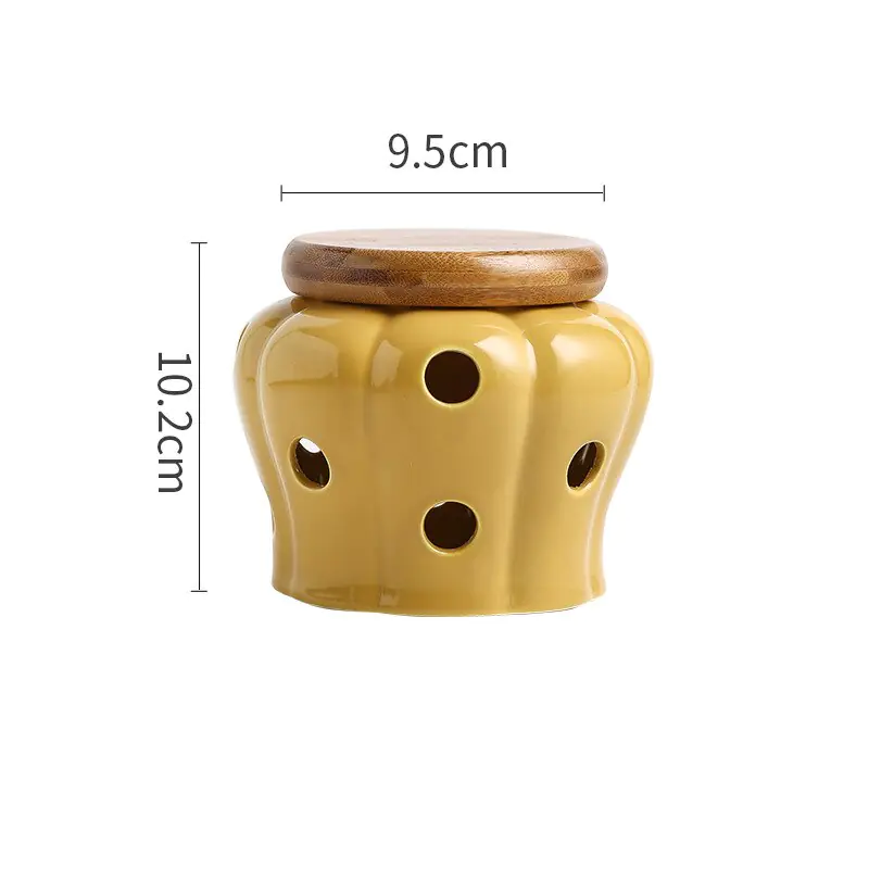 Elegant Porcelain Garlic Keeper - Image 12