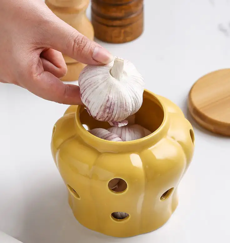 Elegant Porcelain Garlic Keeper - Image 2