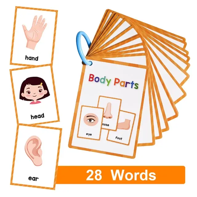 English Words Learning Flashcards - Image 14