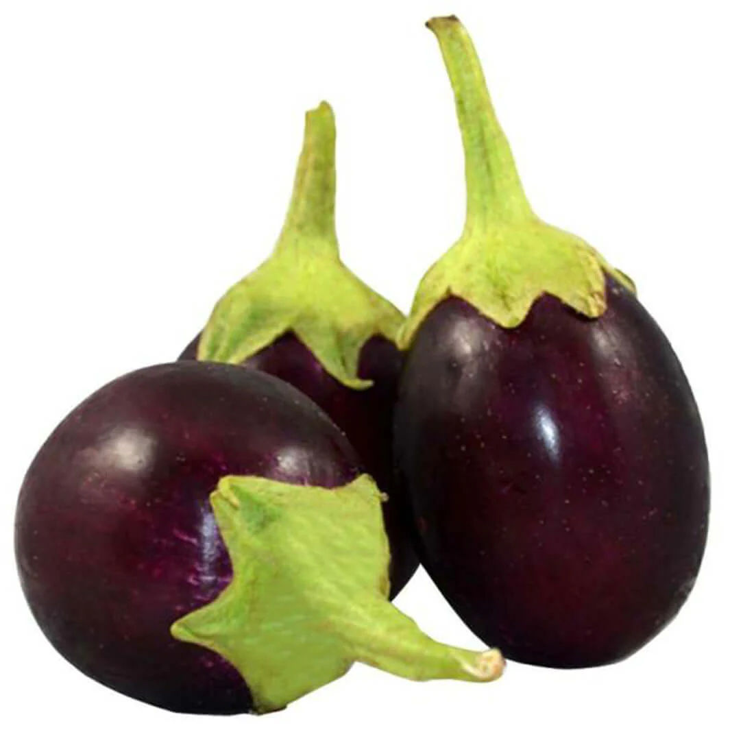 Fresh Brinjal