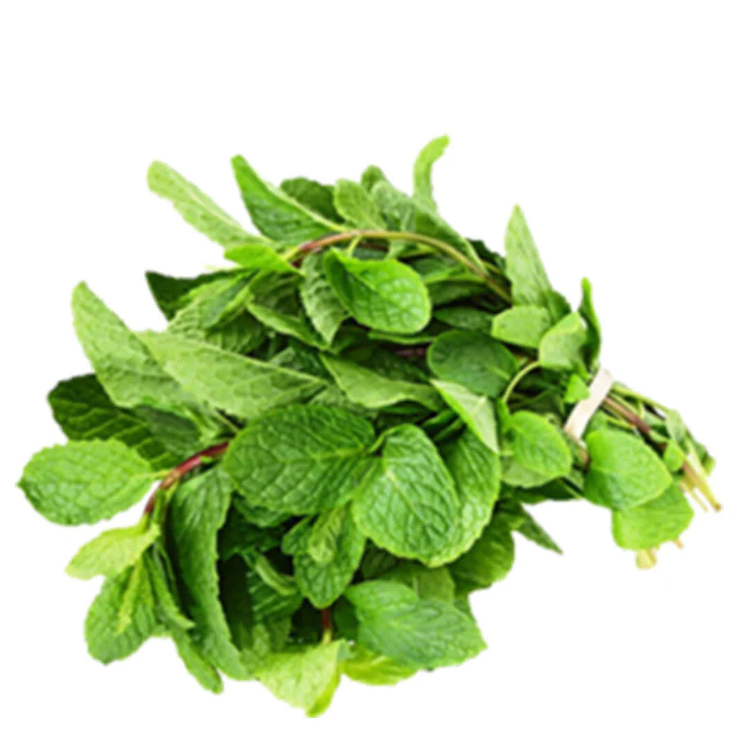 Fresh Mint 1 bunch