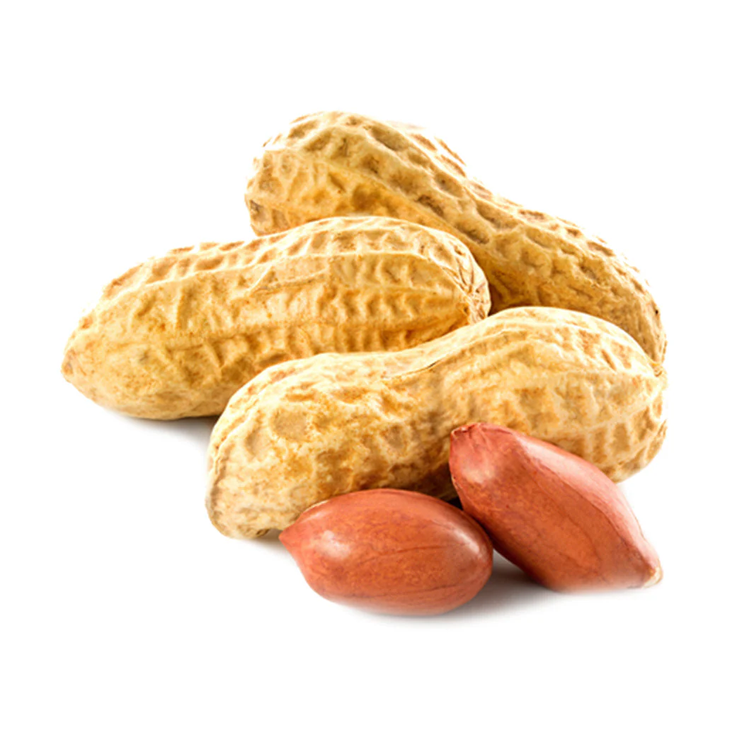 Fresh Peanuts