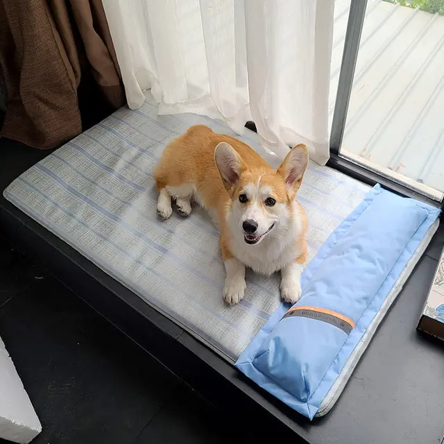 HOOPET Summer Dog Bed Thick Mat - Image 9