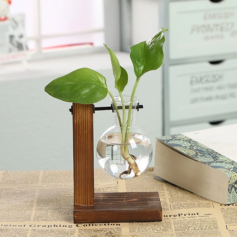 Hydroponic Transparent Plant Vases - Image 3