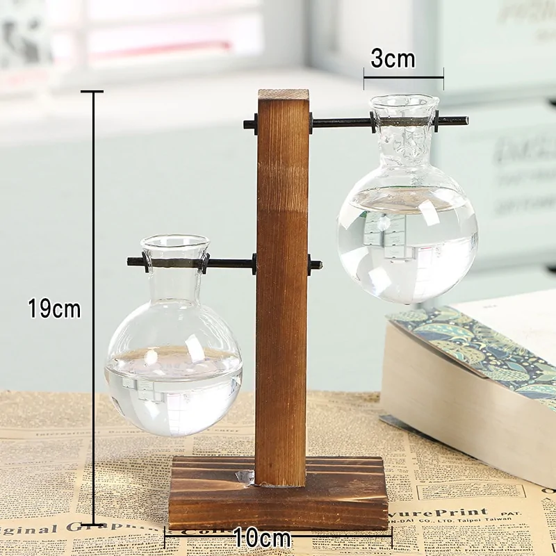 Hydroponic Transparent Plant Vases - Image 4