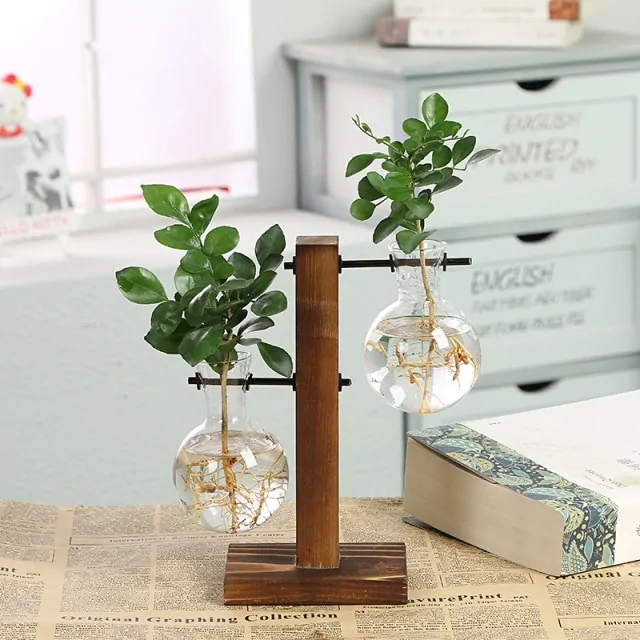 Hydroponic Transparent Plant Vases - Image 5