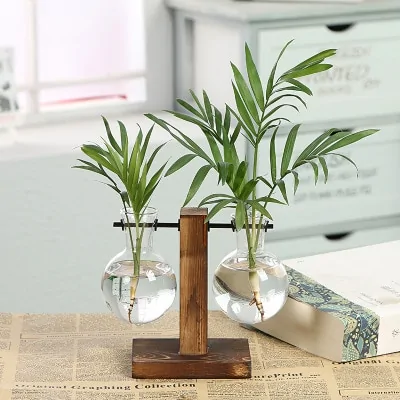 Hydroponic Transparent Plant Vases - Image 6