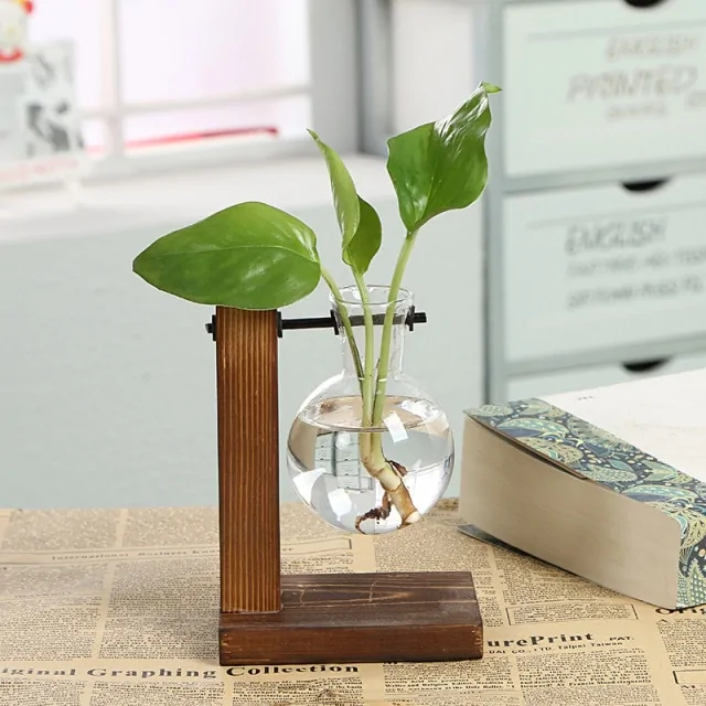 Hydroponic Transparent Plant Vases - Image 7