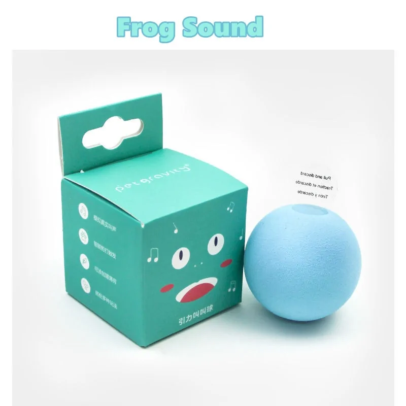 Interactive Ball Catnip Cat Training Toy - Image 9