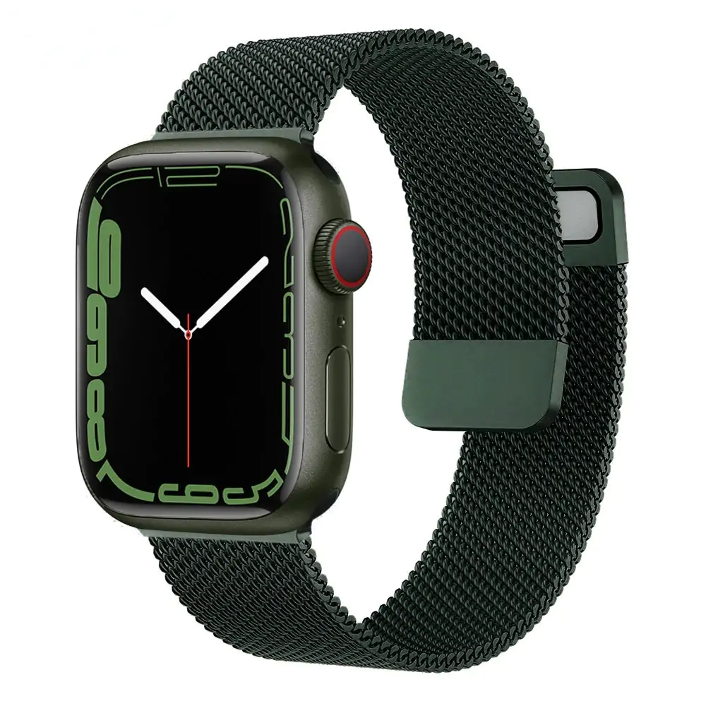 Magnetic Double Section Watch Strap - Image 3
