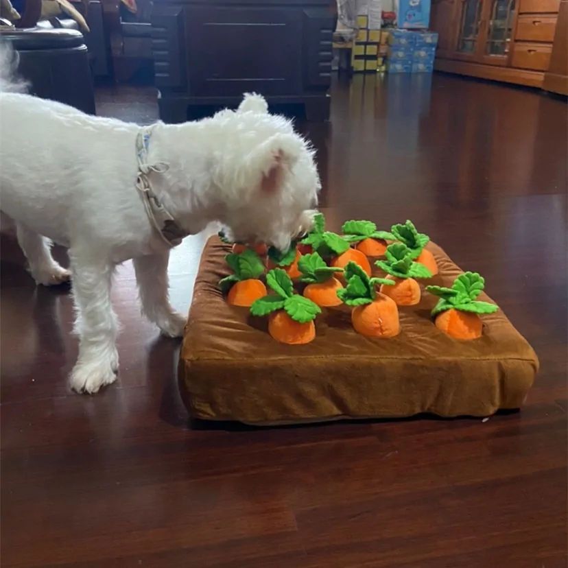 Pet Dog Snuffle Toy Pet Interactive Training Plush - Image 3
