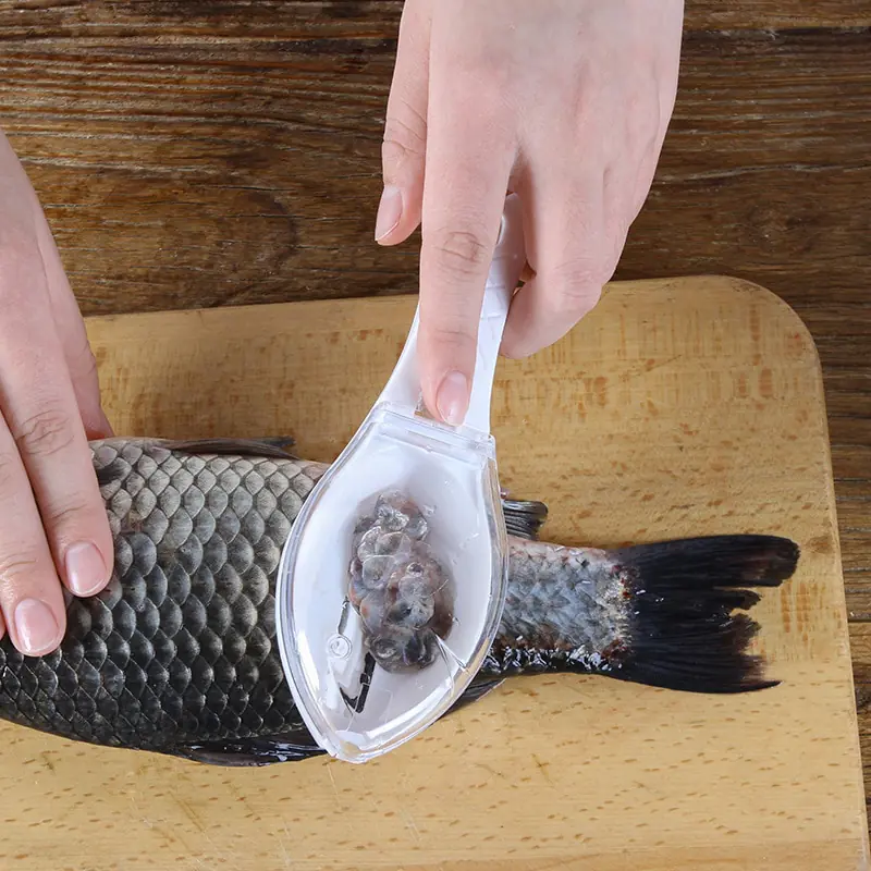 Plastic Fish Scale Brush Scraping - Image 2