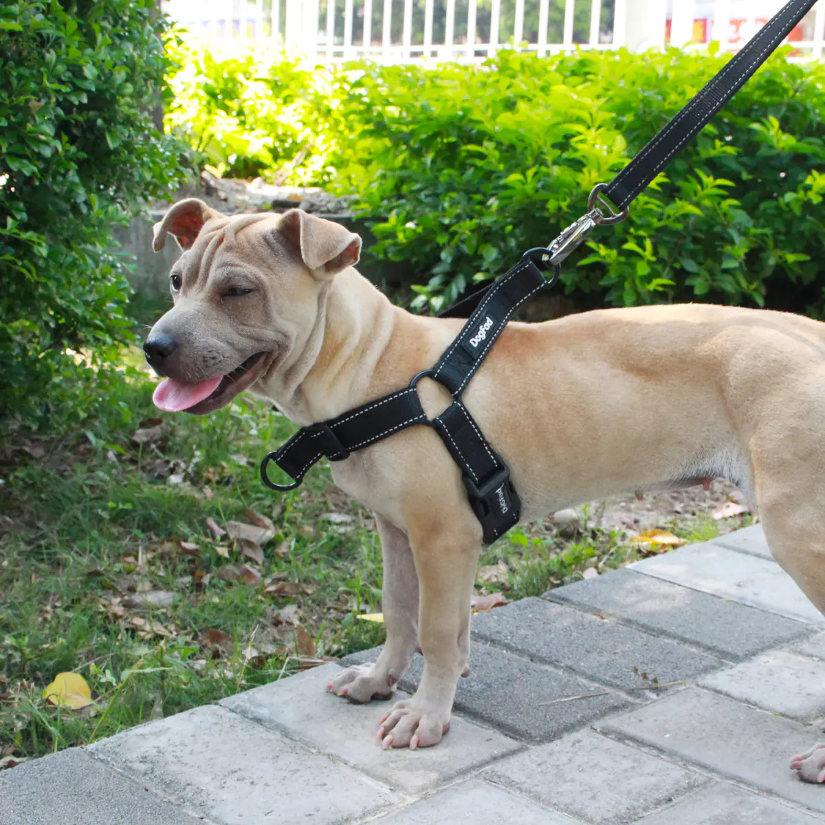Reflective Night Chest Strap Collar for Dogs - Image 2