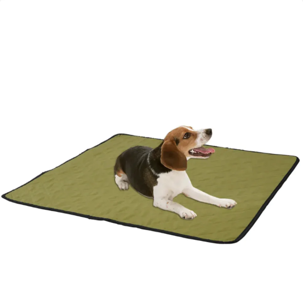 Reusable Non-Slip Pet Absorbent Pad - Image 4