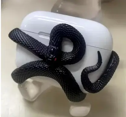 Snake Shield - Image 6
