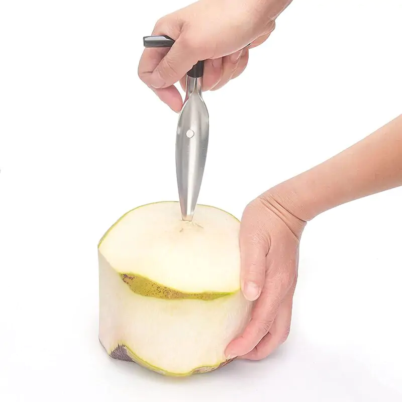 Stainless Steel Coconut Meat Remover - Image 2