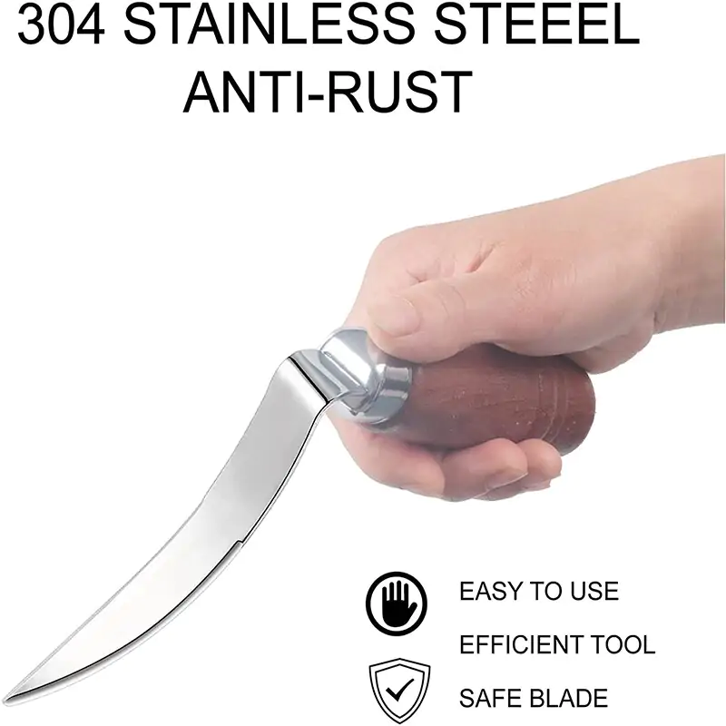 Stainless Steel Coconut Meat Remover - Image 4