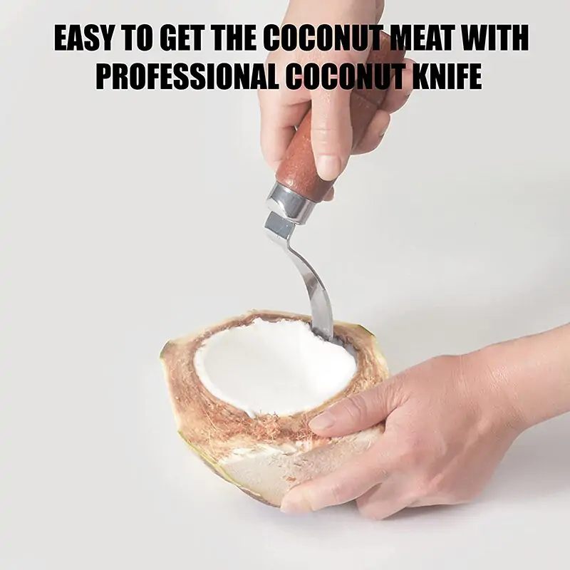 Stainless Steel Coconut Meat Remover - Image 5